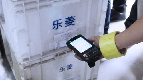 數字化與政策雙輪驅動 小家電產業集群的轉型與創新之路